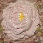 Peony Flower