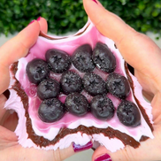 Soya Milk Pudding x Blueberry Jam Cake Duo